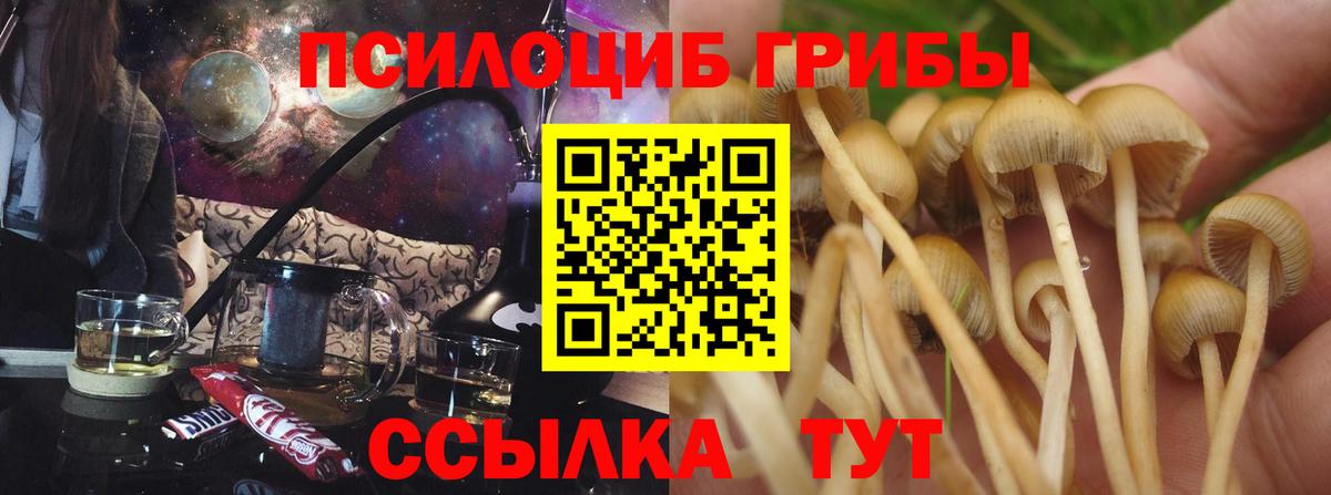 Псилоцибиновые грибы мицелий  Вход с VPN  Комсомольск-на-Амуре 