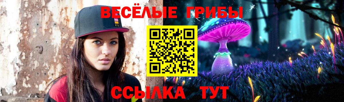 Псилоцибиновые грибы Cubensis Комсомольск-на-Амуре